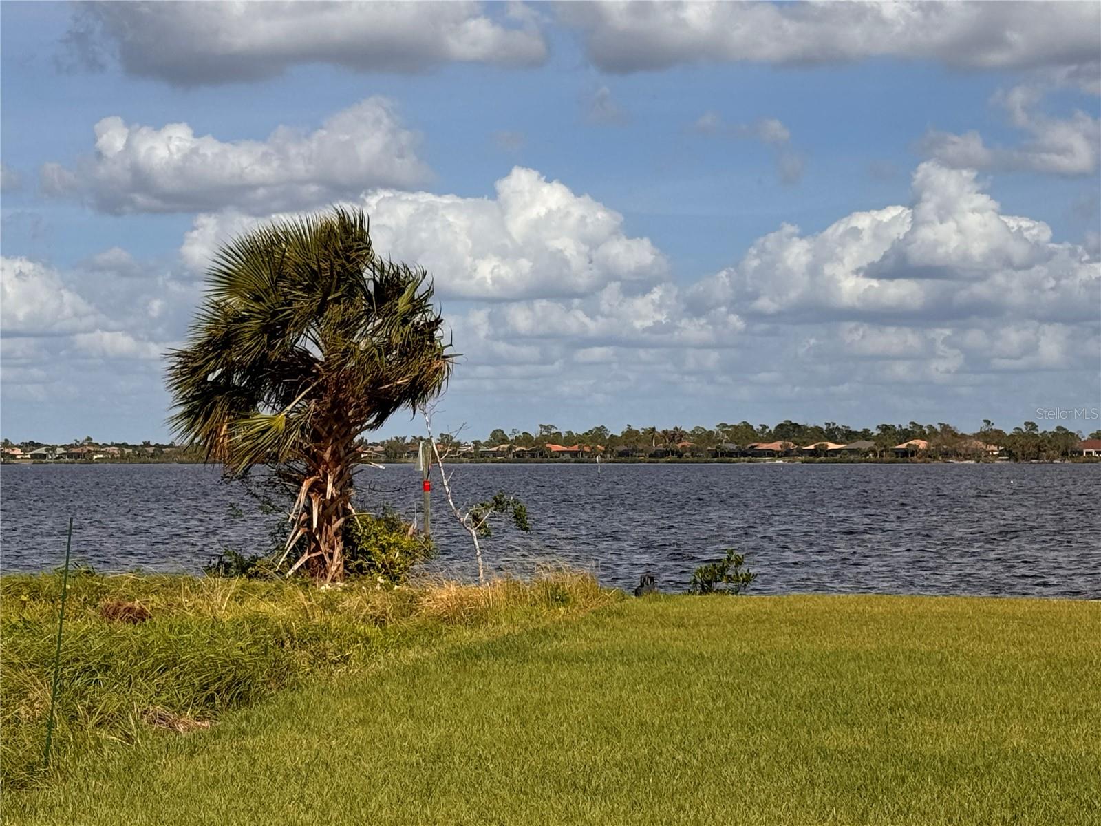 12422 QUINLAN AVE, PORT CHARLOTTE, FL, 33981