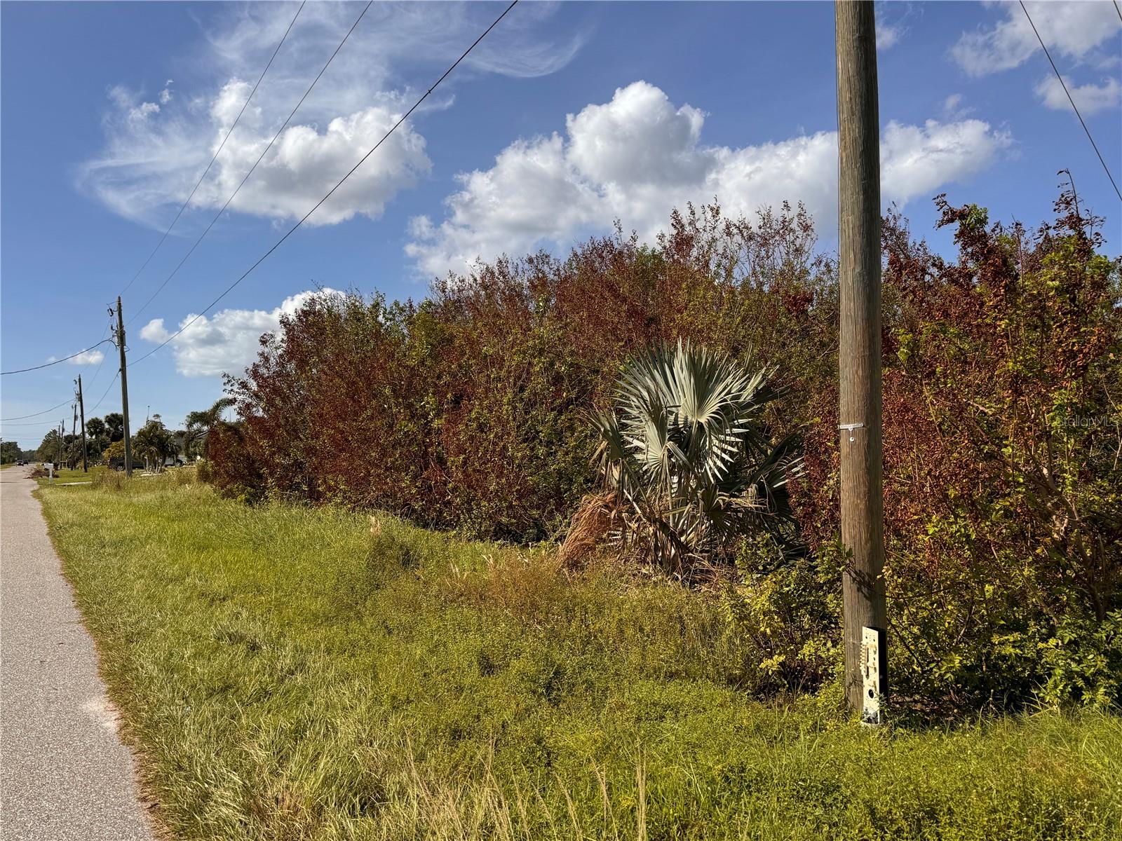 12422 QUINLAN AVE, PORT CHARLOTTE, FL, 33981