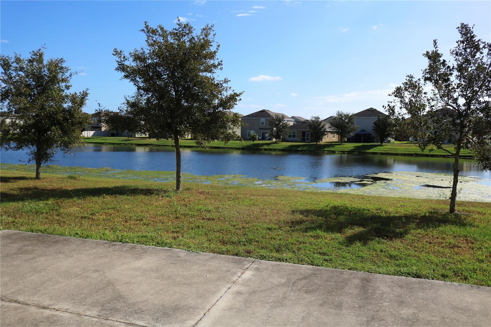 7565 TUSCAN BAY CIR, WESLEY CHAPEL, FL, 33545