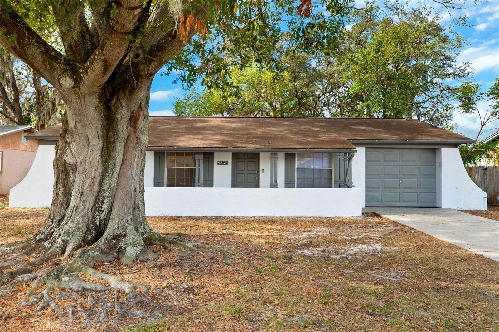 8255 GREENLEAF CIR, TAMPA, FL, 33615