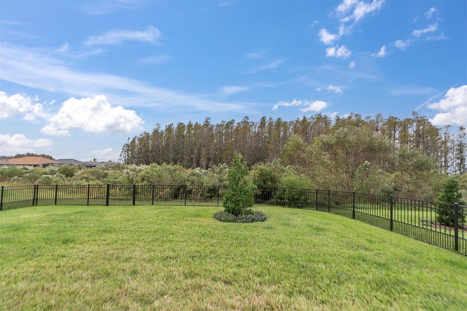 10693 CALLUNA DR, ODESSA, FL, 33556