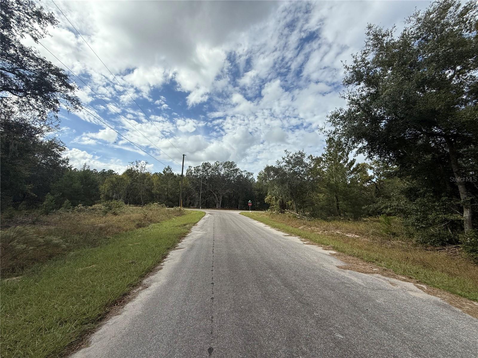 000 MALAUKA LOOP TRAK, OCKLAWAHA, FL, 32179