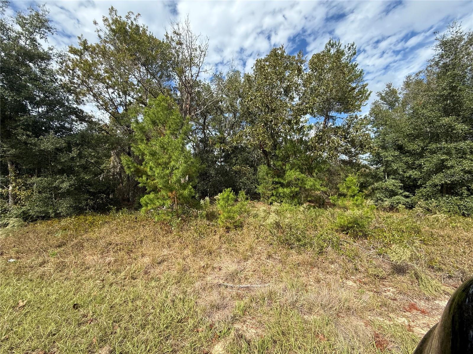 000 MALAUKA LOOP TRAK, OCKLAWAHA, FL, 32179