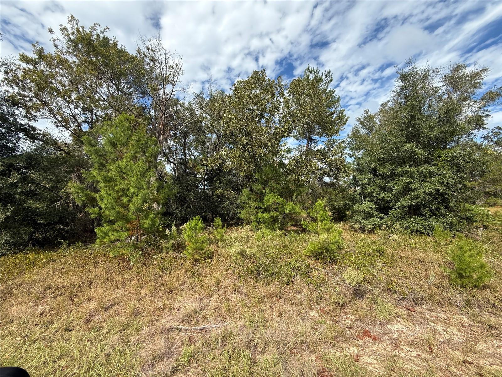 000 MALAUKA LOOP TRAK, OCKLAWAHA, FL, 32179