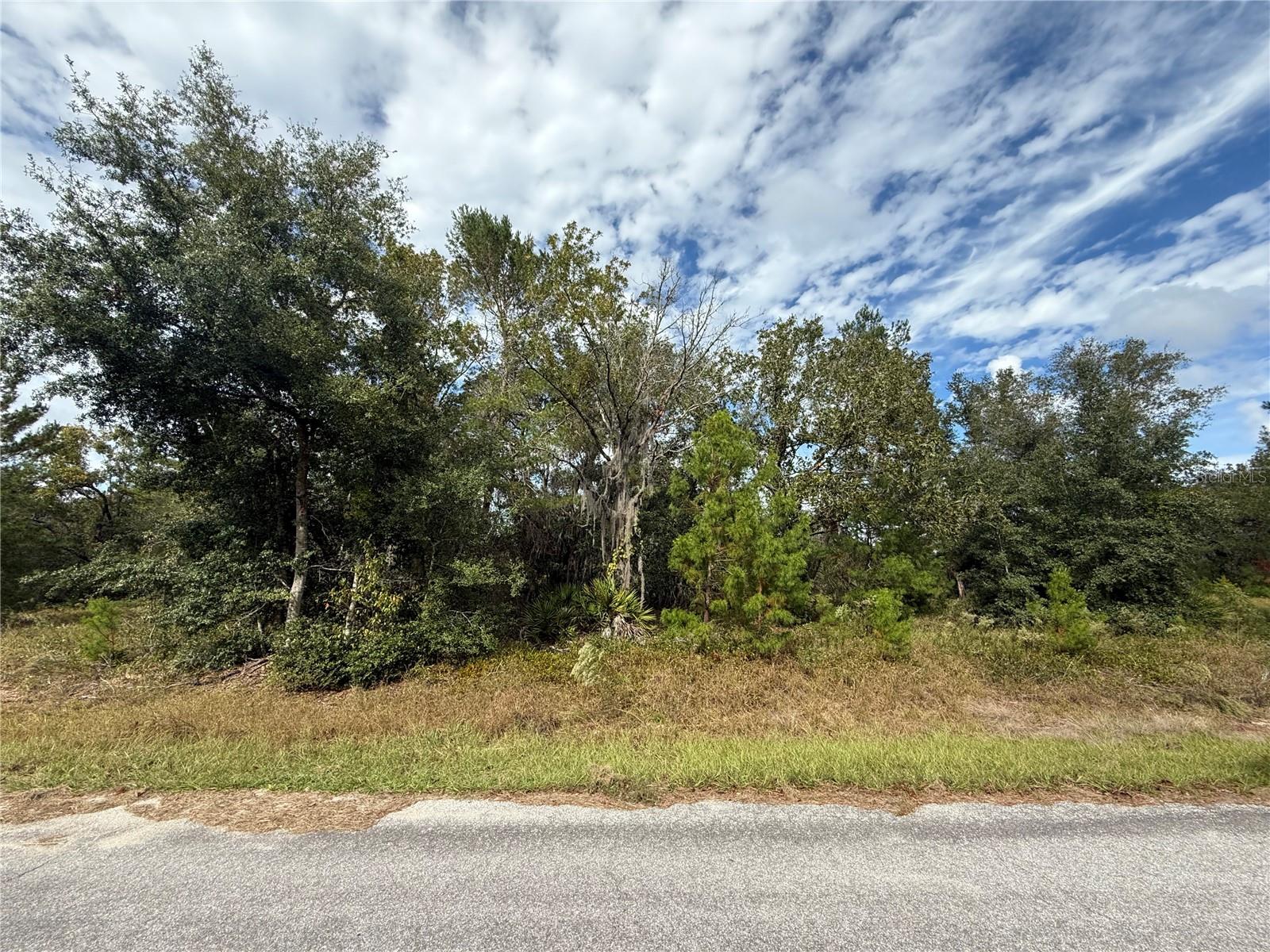 000 MALAUKA LOOP TRAK, OCKLAWAHA, FL, 32179