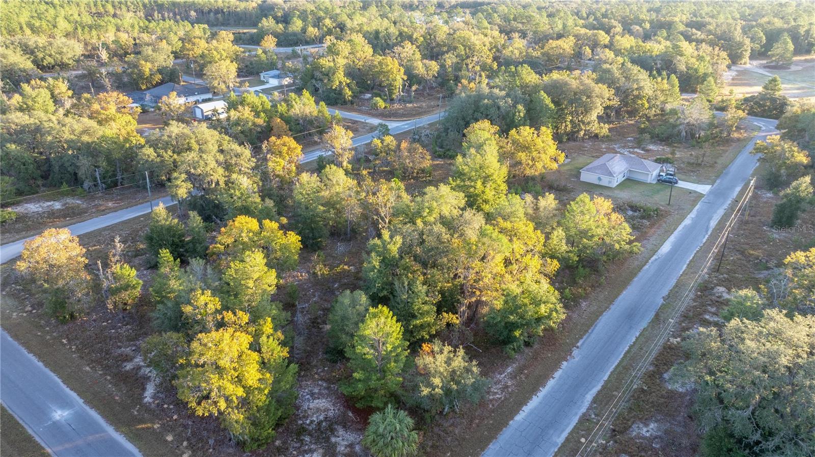 000 MALAUKA LOOP TRAK, OCKLAWAHA, FL, 32179