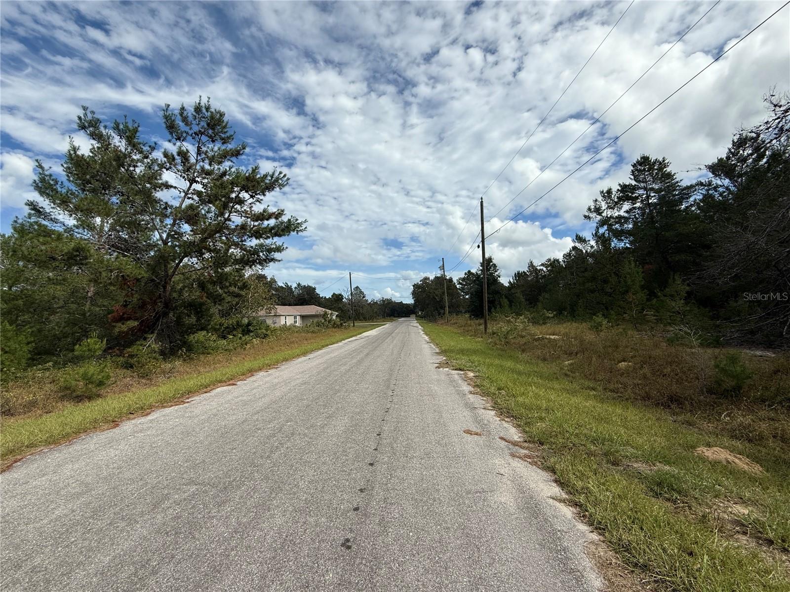 000 MALAUKA LOOP TRAK, OCKLAWAHA, FL, 32179
