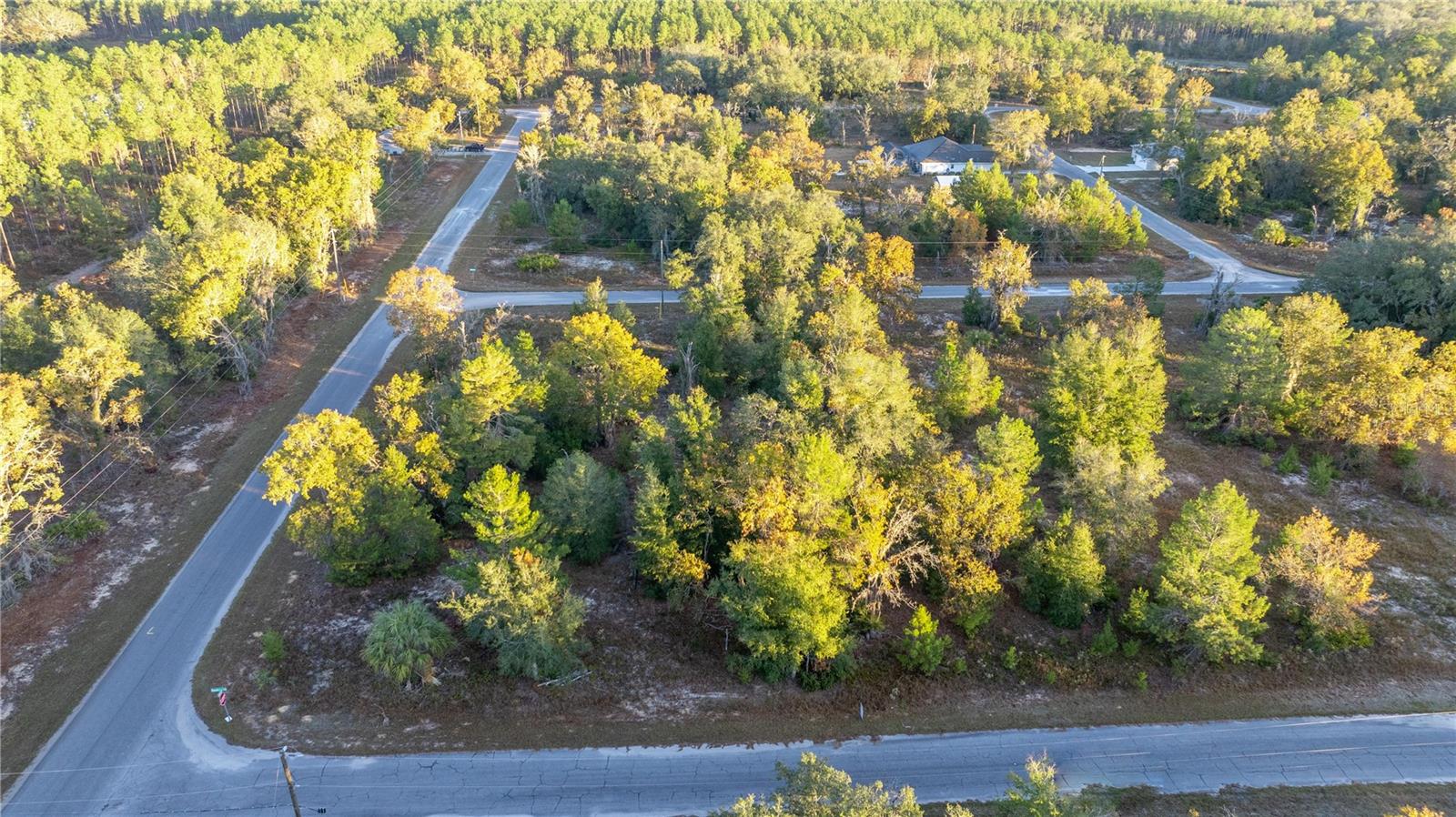 000 MALAUKA LOOP TRAK, OCKLAWAHA, FL, 32179
