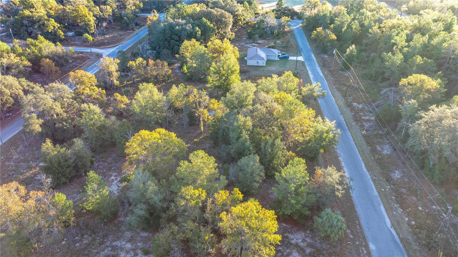 000 MALAUKA LOOP TRAK, OCKLAWAHA, FL, 32179