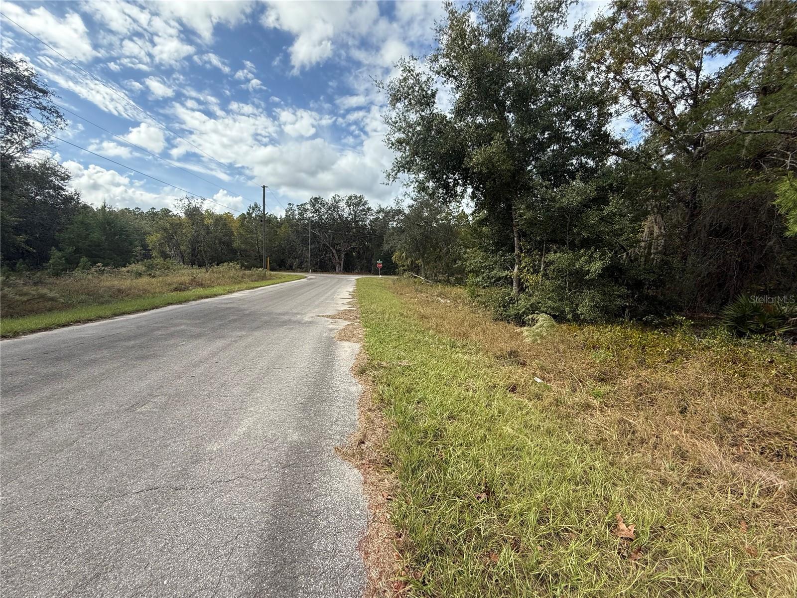 000 MALAUKA LOOP TRAK, OCKLAWAHA, FL, 32179