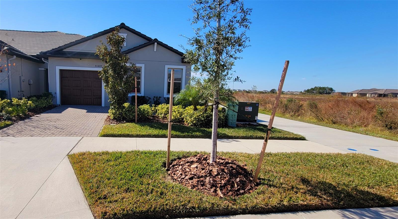 31422 BRIARS ML, SAN ANTONIO, FL, 33576