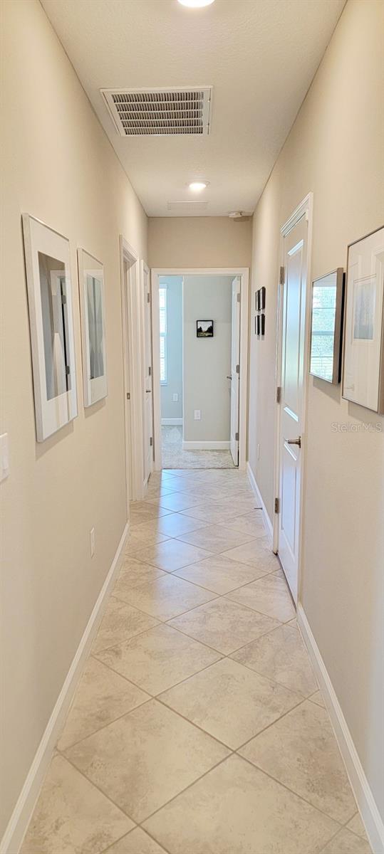 31422 BRIARS ML, SAN ANTONIO, FL, 33576