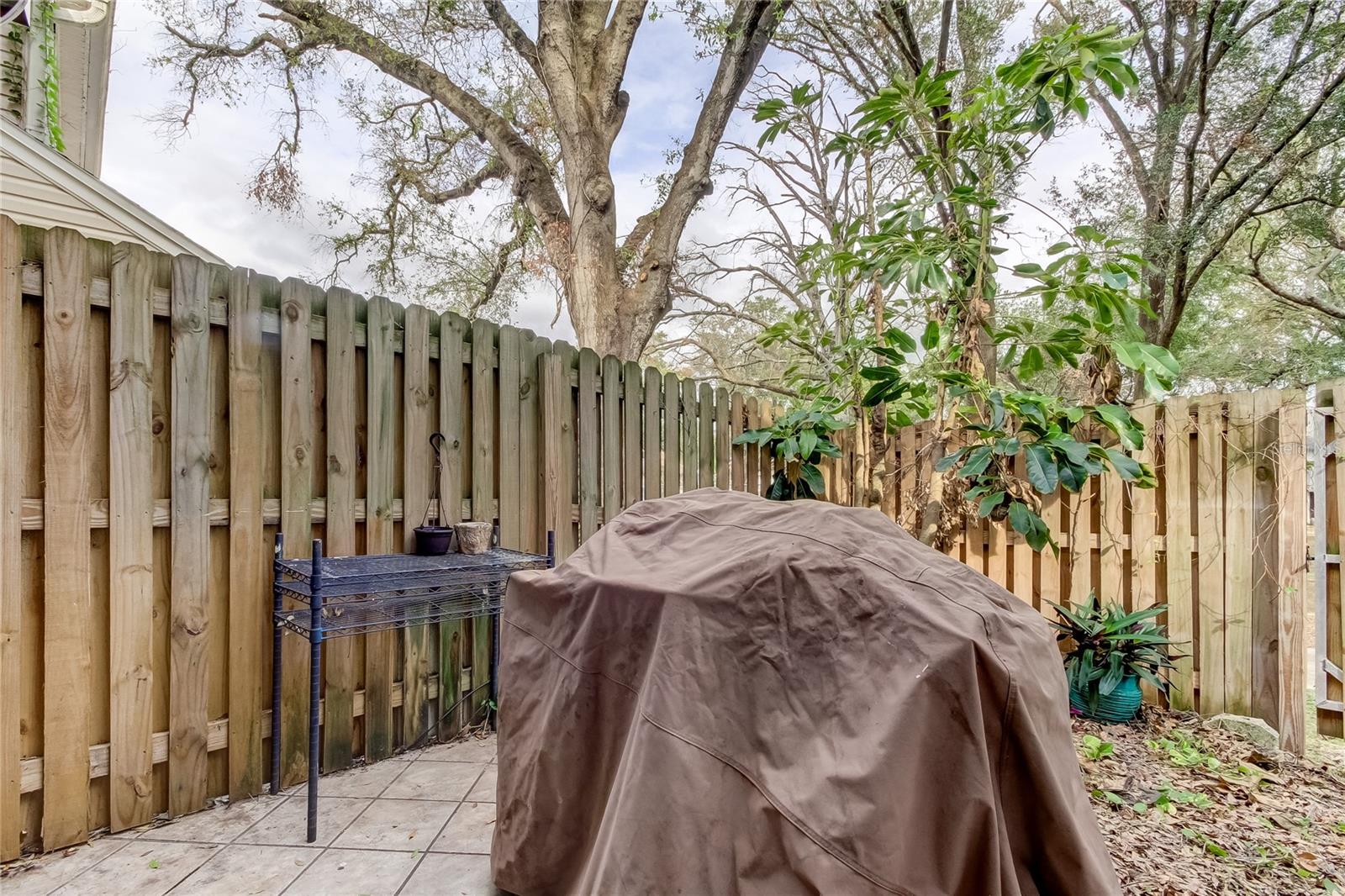 11325 STRATTON PARK DR #11325, TEMPLE TERRACE, FL, 33617