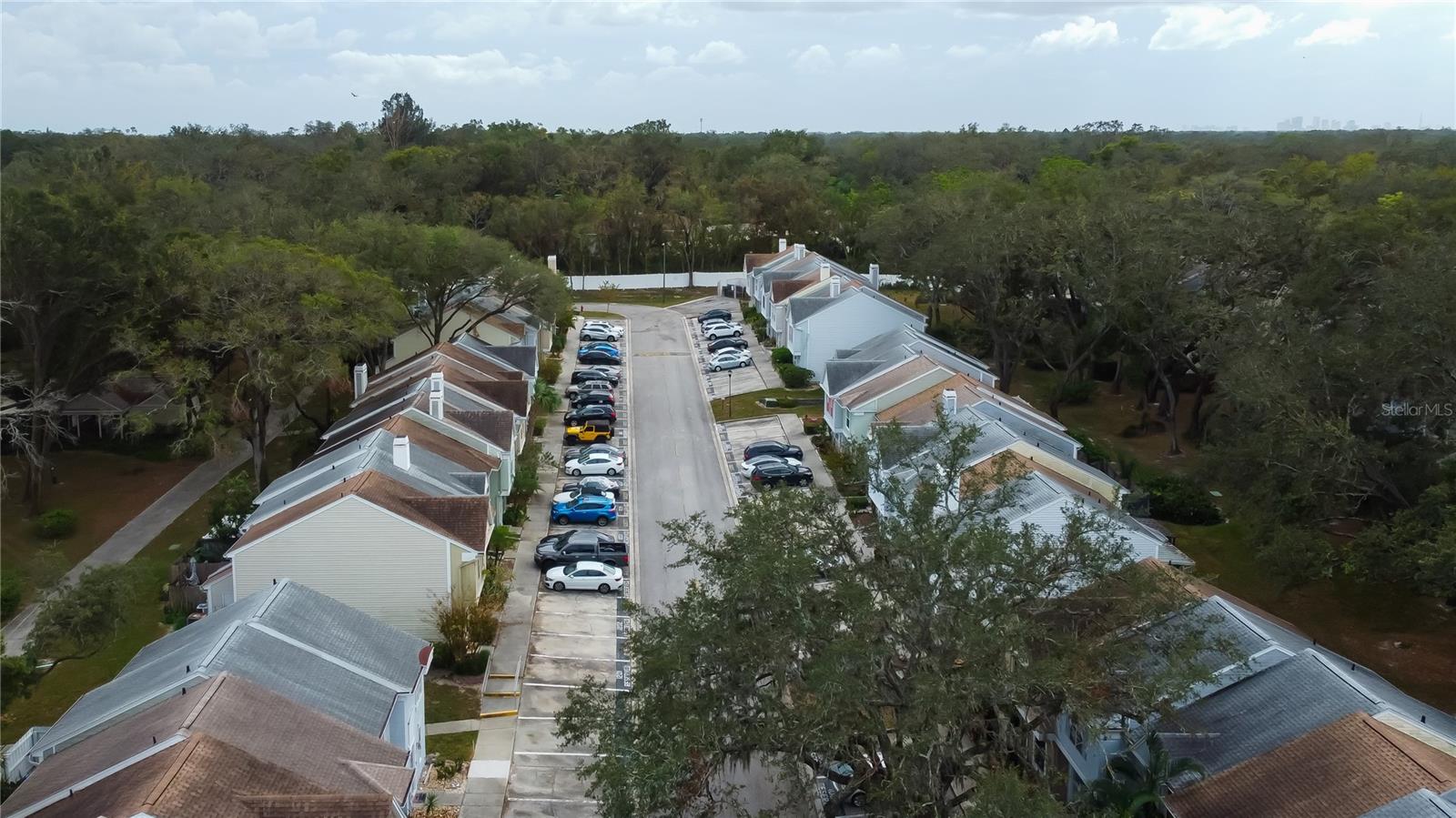 11325 STRATTON PARK DR #11325, TEMPLE TERRACE, FL, 33617