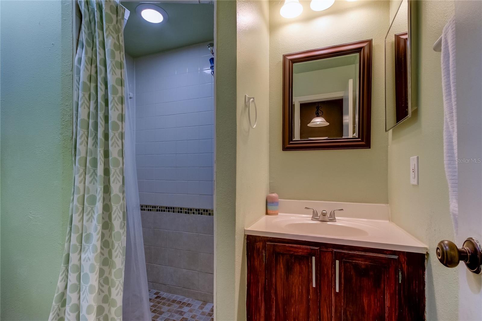 11325 STRATTON PARK DR #11325, TEMPLE TERRACE, FL, 33617