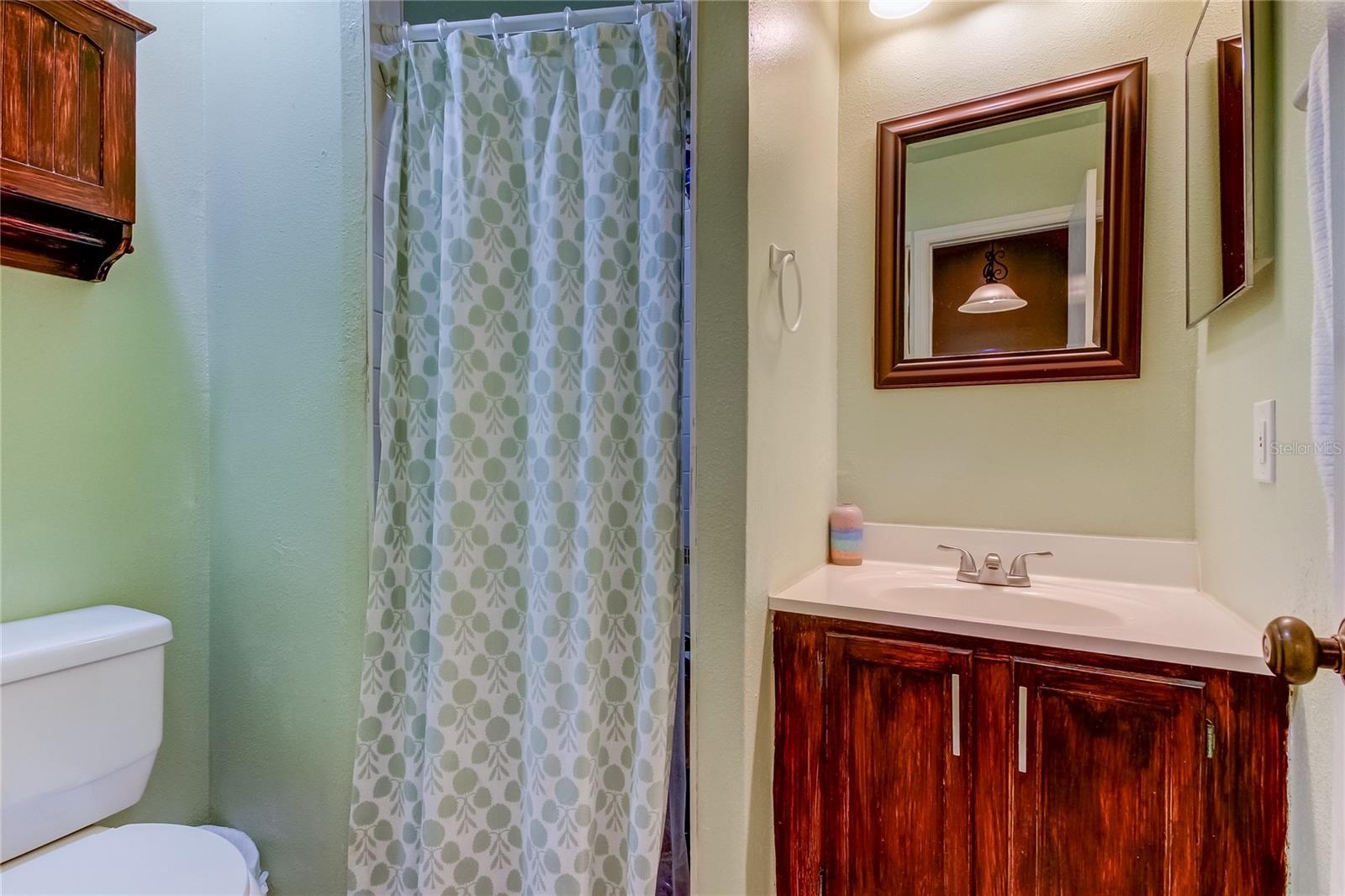 11325 STRATTON PARK DR #11325, TEMPLE TERRACE, FL, 33617
