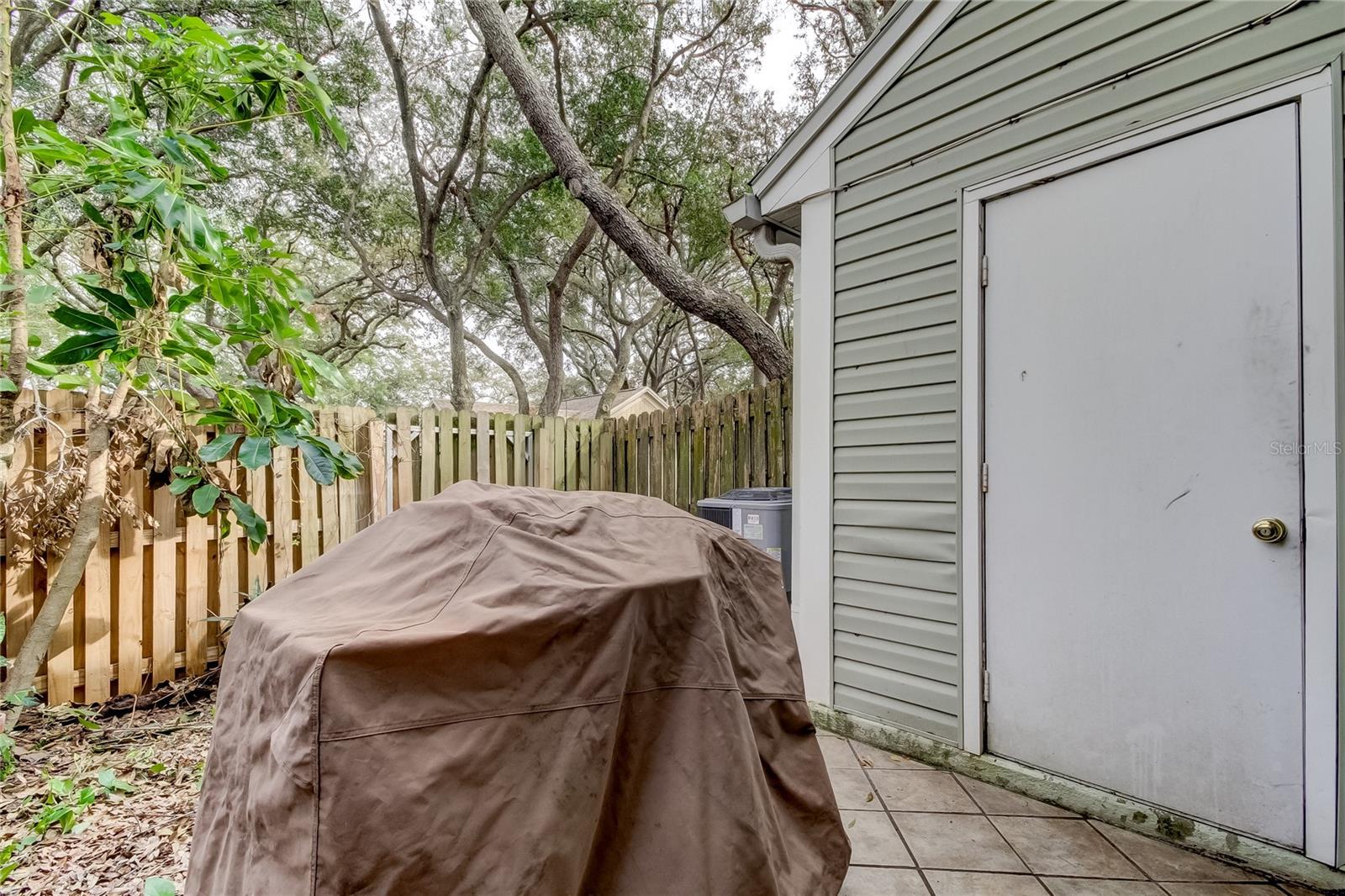 11325 STRATTON PARK DR #11325, TEMPLE TERRACE, FL, 33617