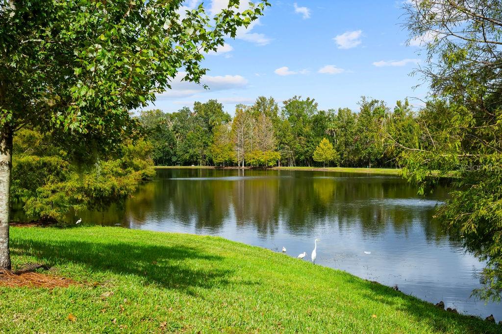 1200 IRONSMITH DR #103, CELEBRATION, FL, 34747