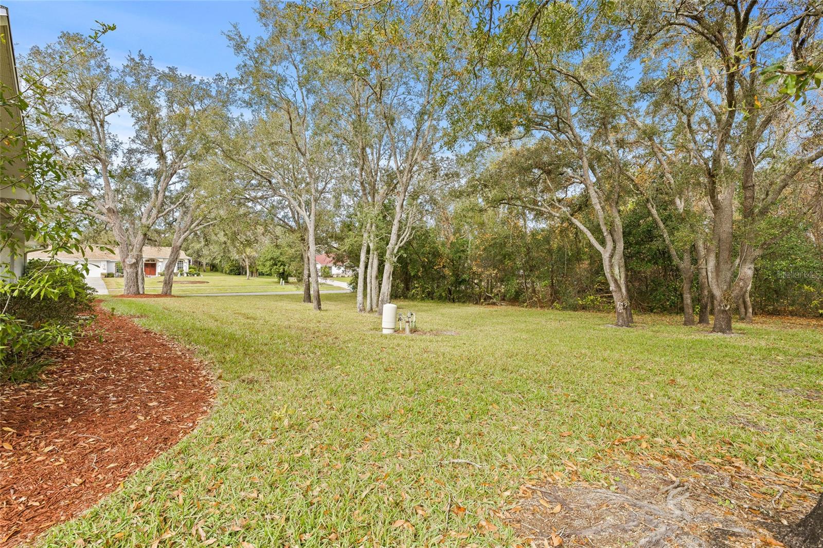 12213 MANGO CT, SPRING HILL, FL, 34609
