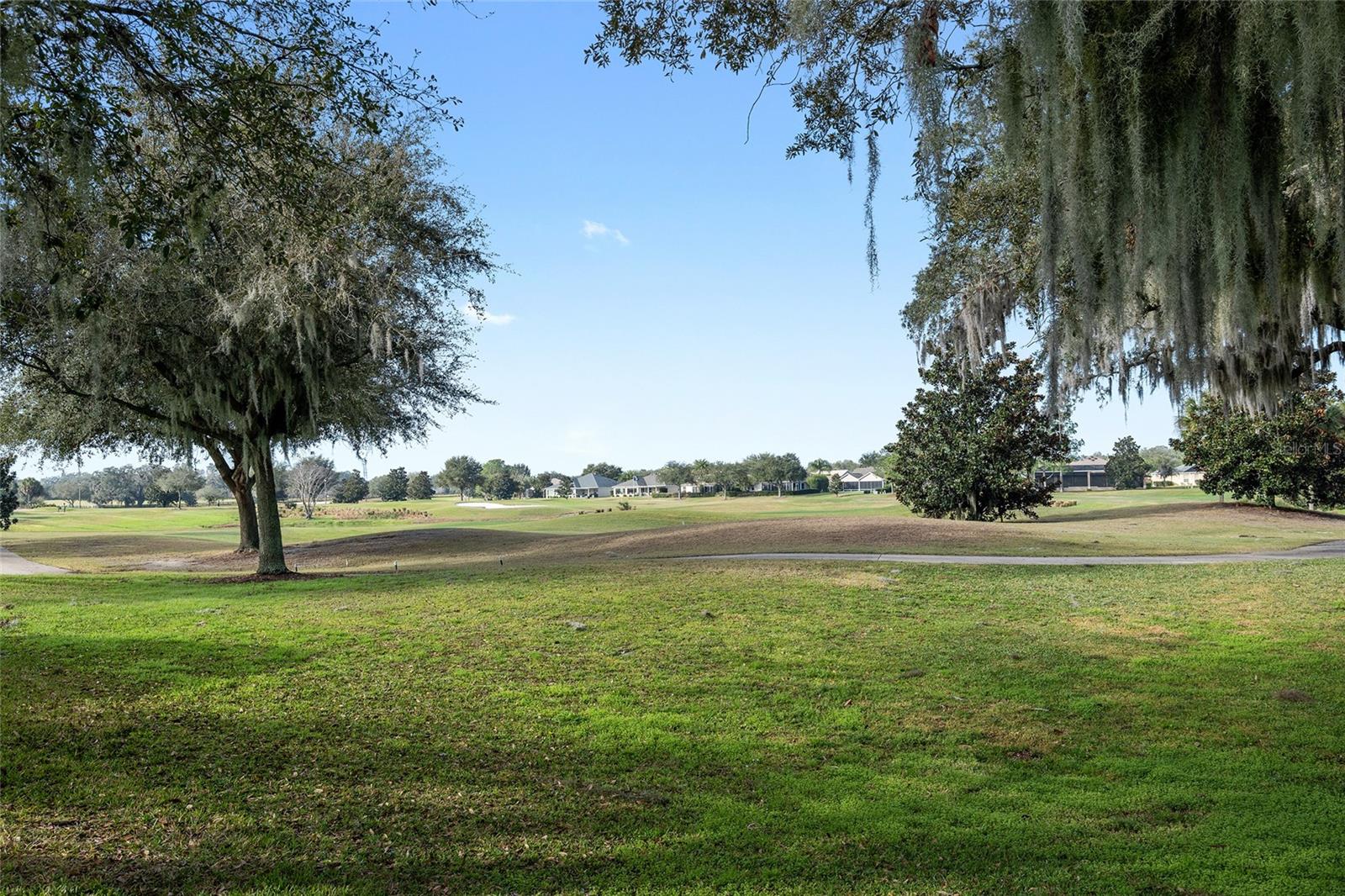 704 ALCOTT AVE, THE VILLAGES, FL, 32162