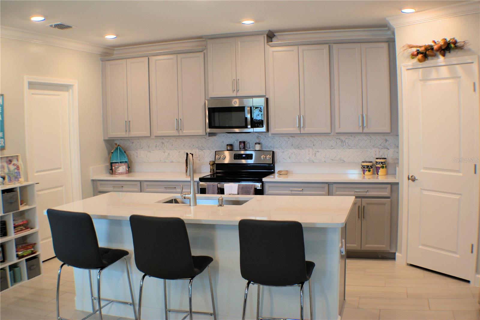 16854 FORGE SURF ST, LAND O LAKES, FL, 34638
