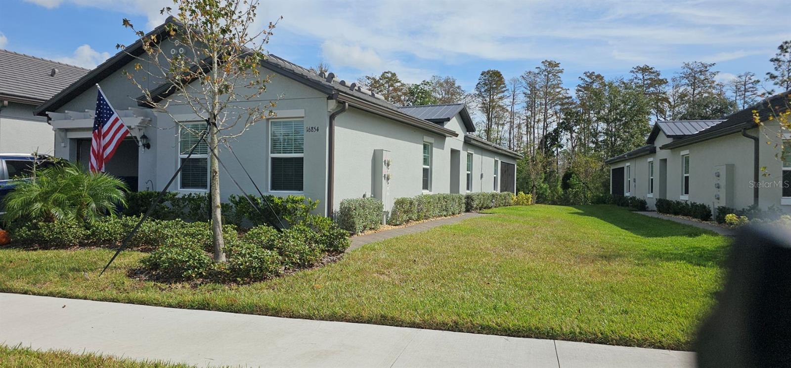 16854 FORGE SURF ST, LAND O LAKES, FL, 34638