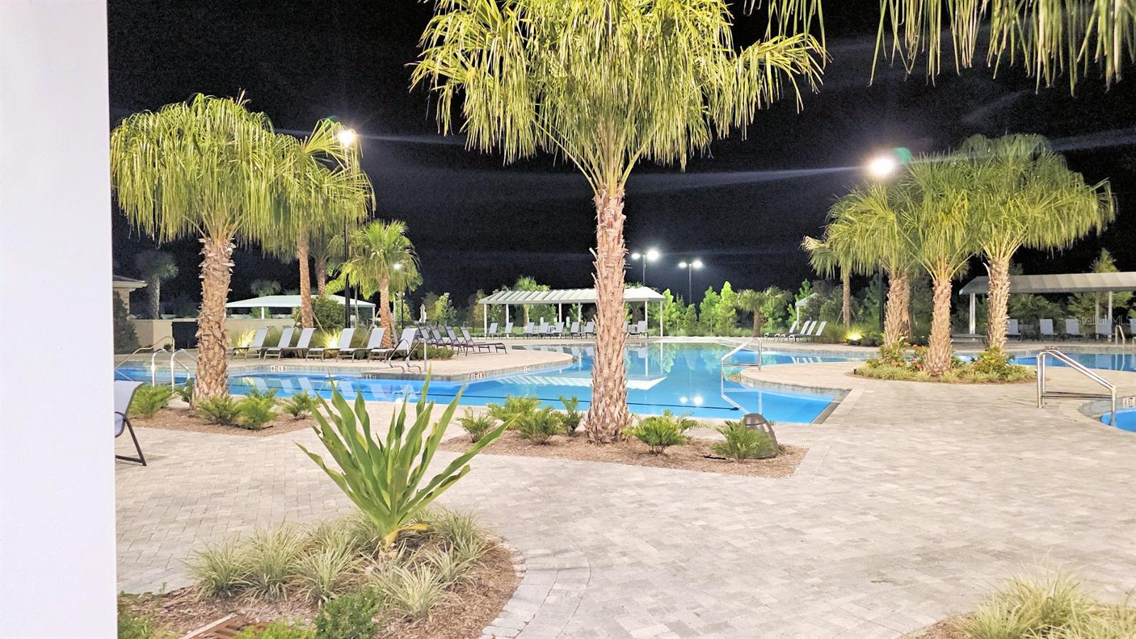 16854 FORGE SURF ST, LAND O LAKES, FL, 34638