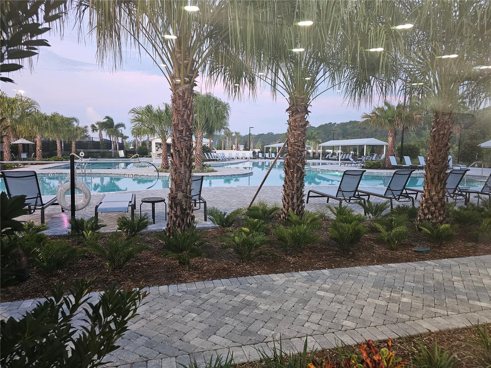 16854 FORGE SURF ST, LAND O LAKES, FL, 34638