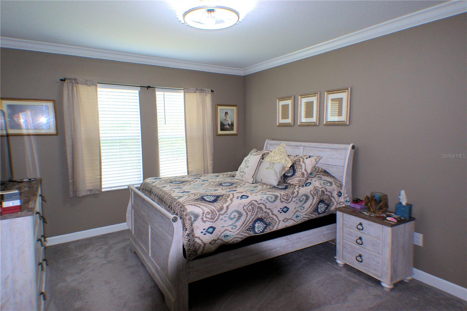 16854 FORGE SURF ST, LAND O LAKES, FL, 34638