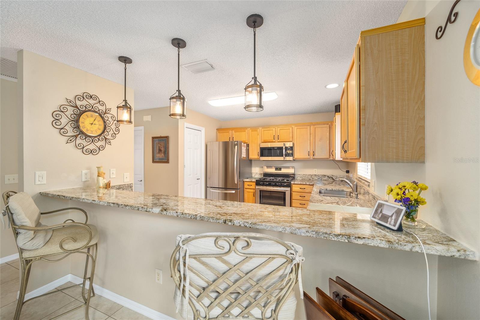 17126 SE 78TH PARLANGE TER, THE VILLAGES, FL, 32162