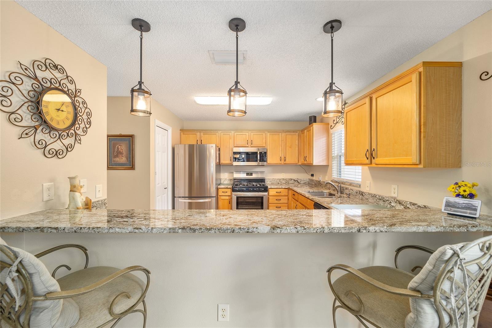 17126 SE 78TH PARLANGE TER, THE VILLAGES, FL, 32162