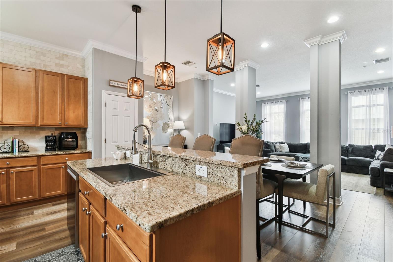 4516 BAY SPRING CT, TAMPA, FL, 33611