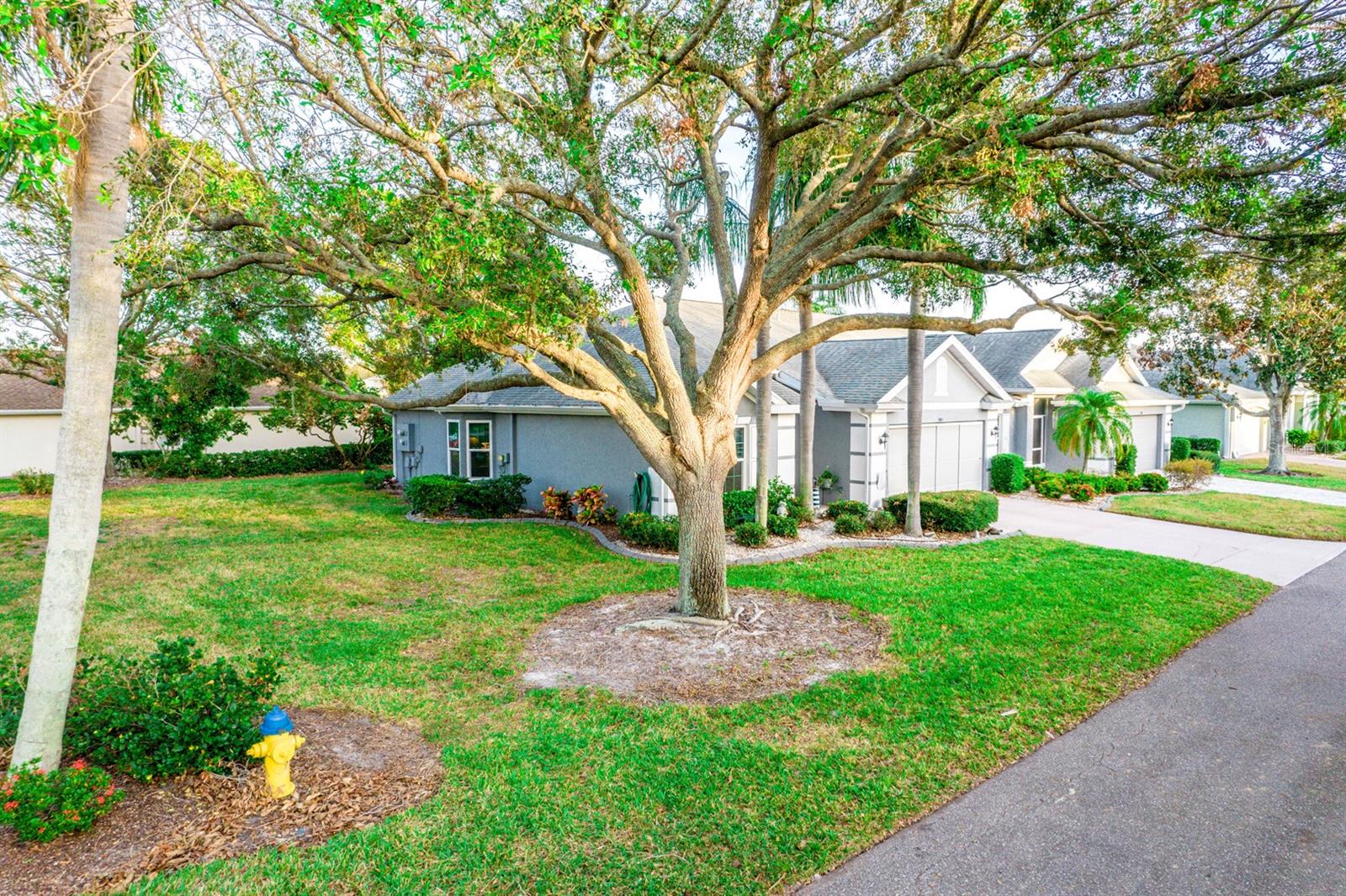905 OXFORD PARK DR #a, SUN CITY CENTER, FL, 33573