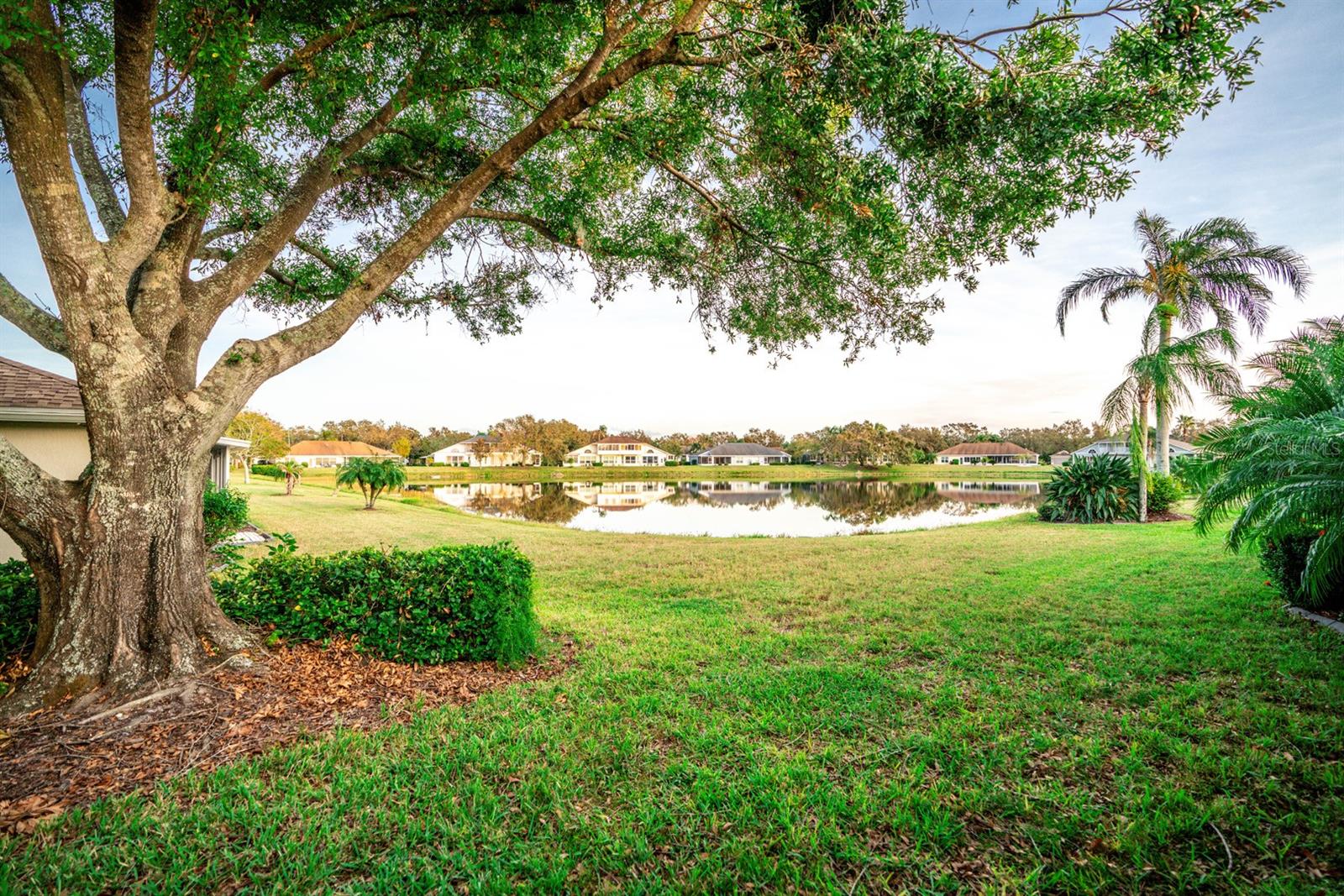 905 OXFORD PARK DR #a, SUN CITY CENTER, FL, 33573