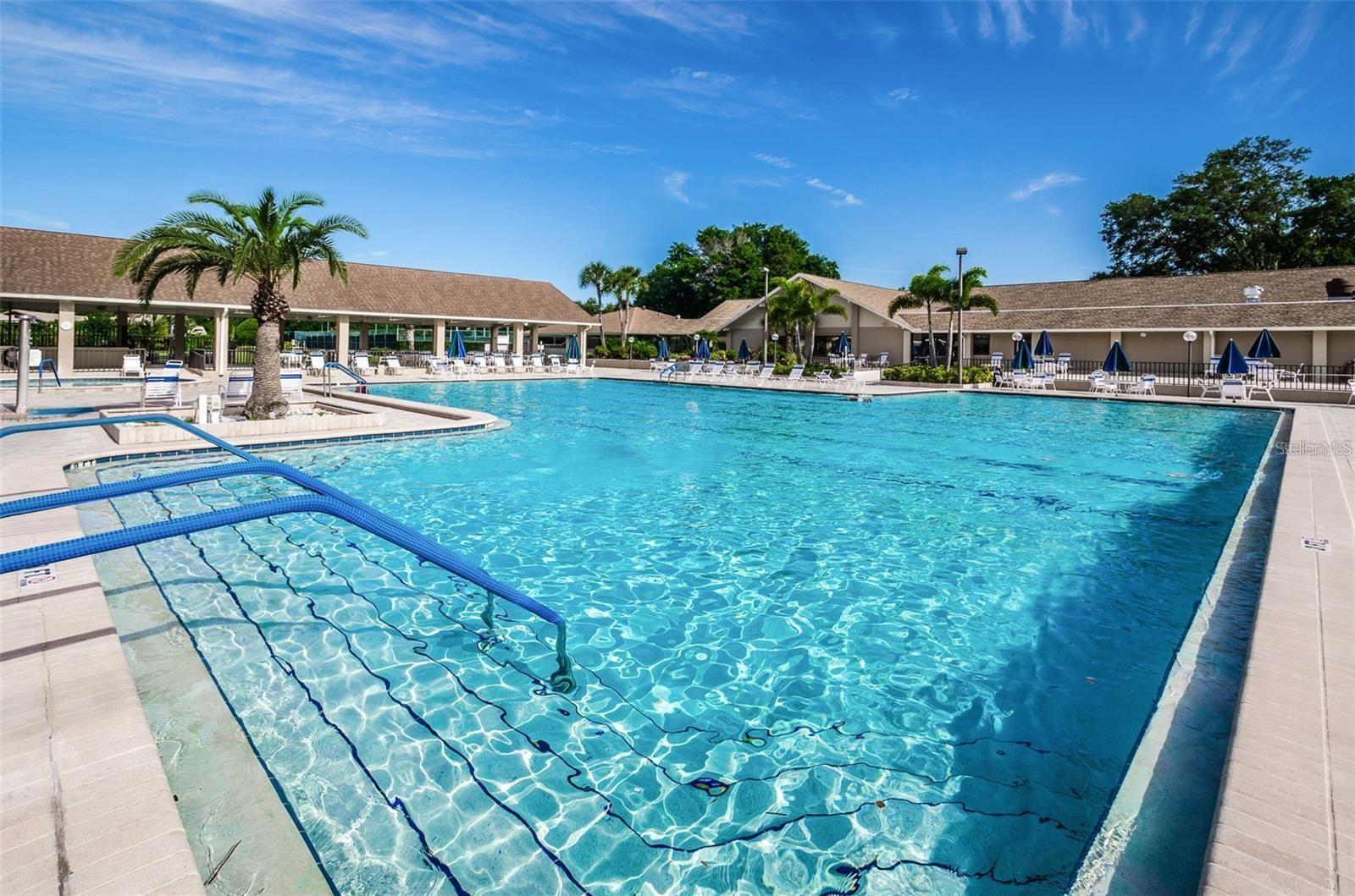 1563 WICKLOW DR, PALM HARBOR, FL, 34684