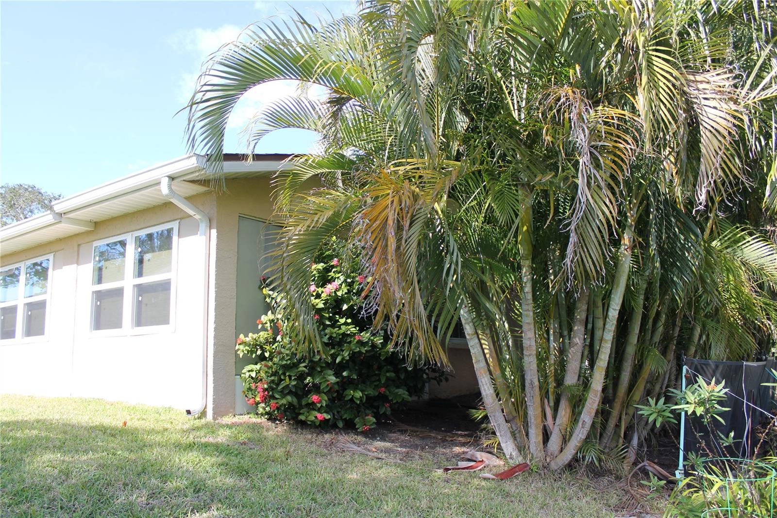 1563 WICKLOW DR, PALM HARBOR, FL, 34684