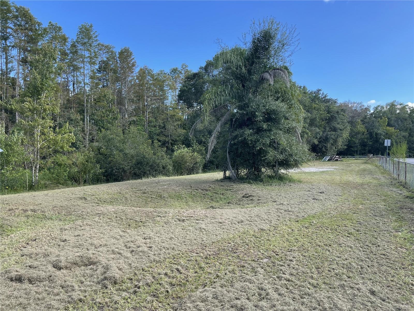 7428 SAINT JOHNS RD, LAND O LAKES, FL, 34638