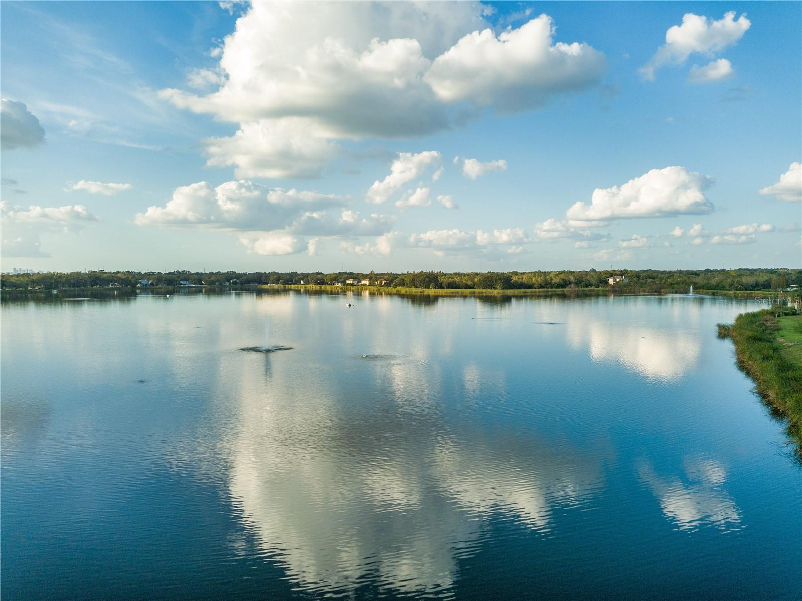 7123 COLONIAL LAKE DR, RIVERVIEW, FL, 33578