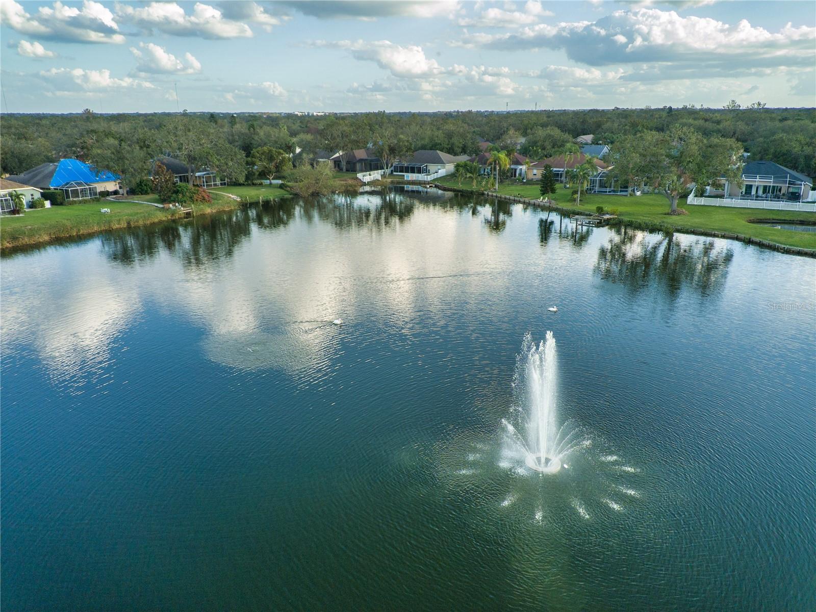 7123 COLONIAL LAKE DR, RIVERVIEW, FL, 33578