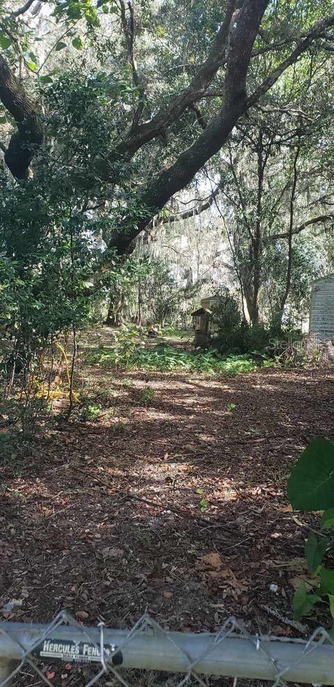 24971 NE 135TH ST, SALT SPRINGS, FL, 32134