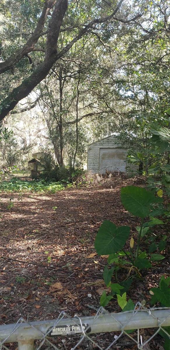 24971 NE 135TH ST, SALT SPRINGS, FL, 32134