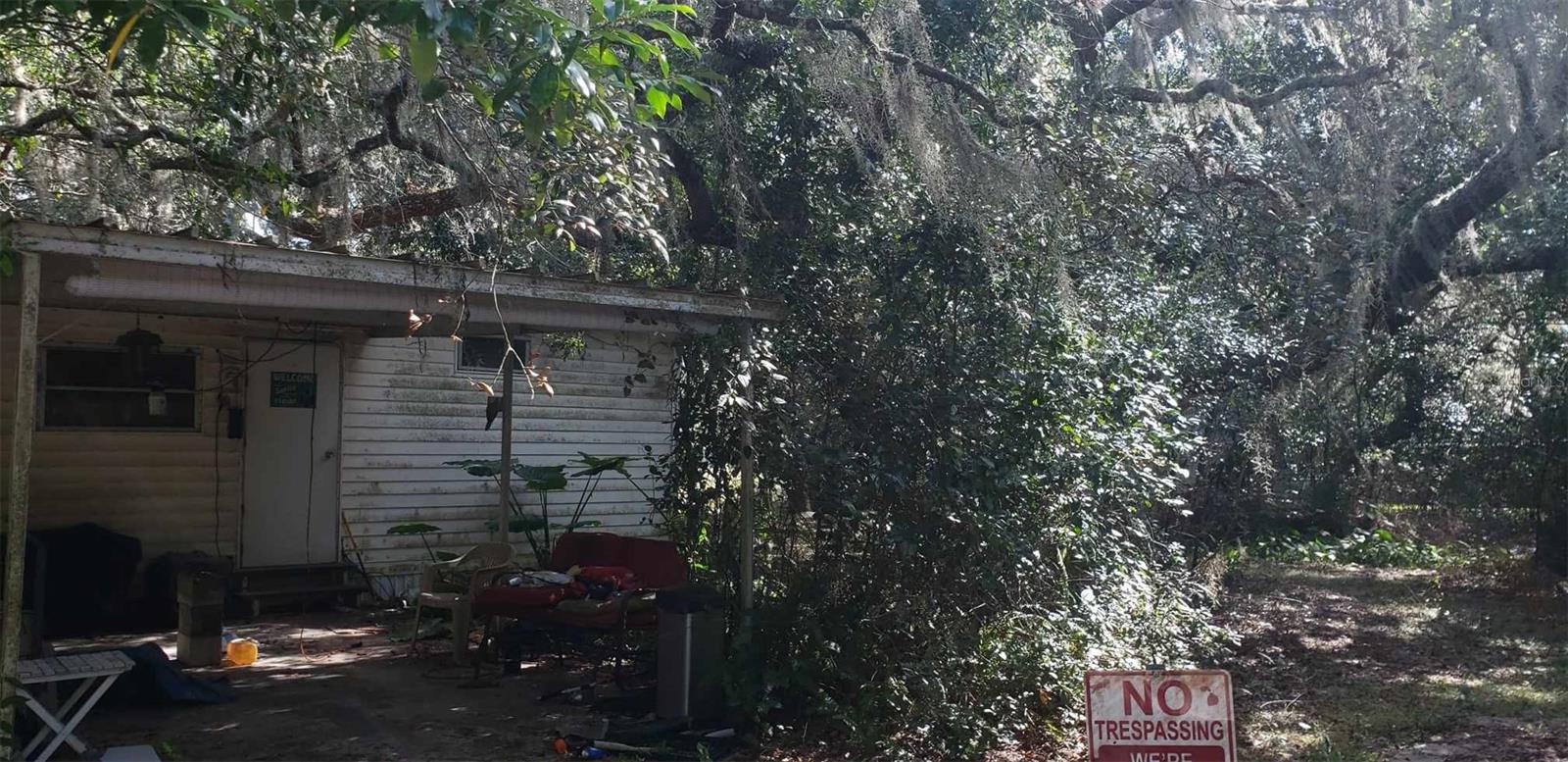 24971 NE 135TH ST, SALT SPRINGS, FL, 32134