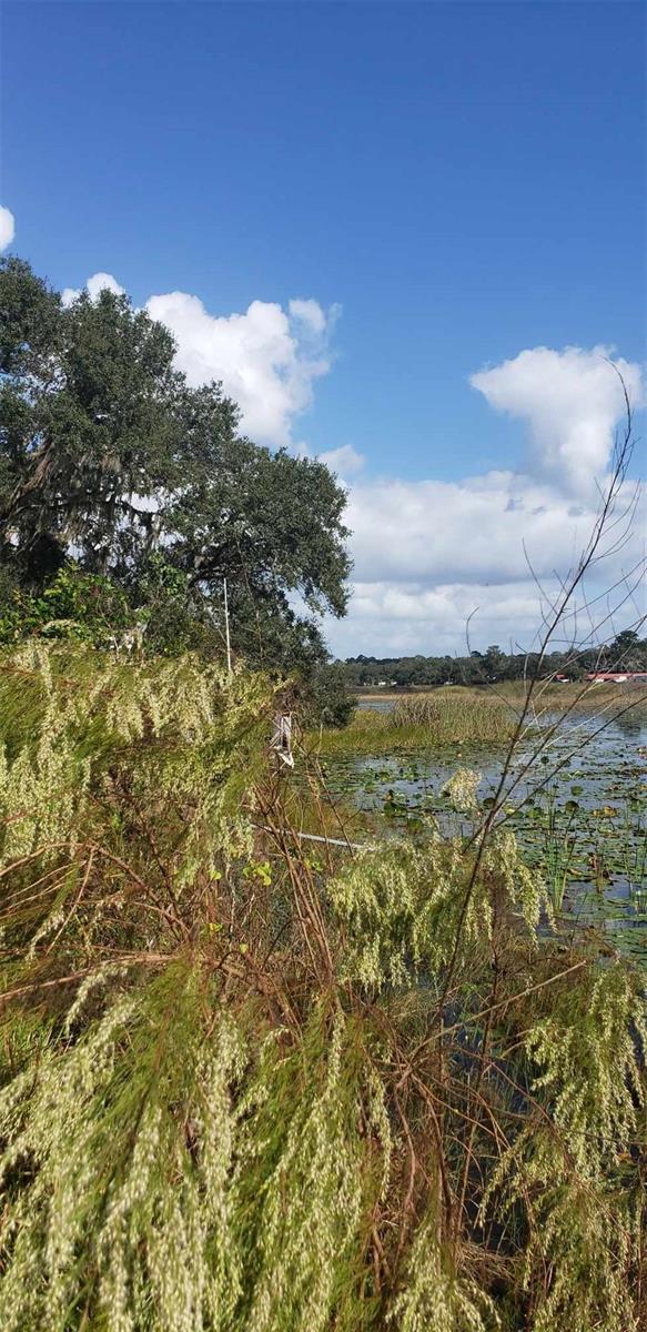 24971 NE 135TH ST, SALT SPRINGS, FL, 32134