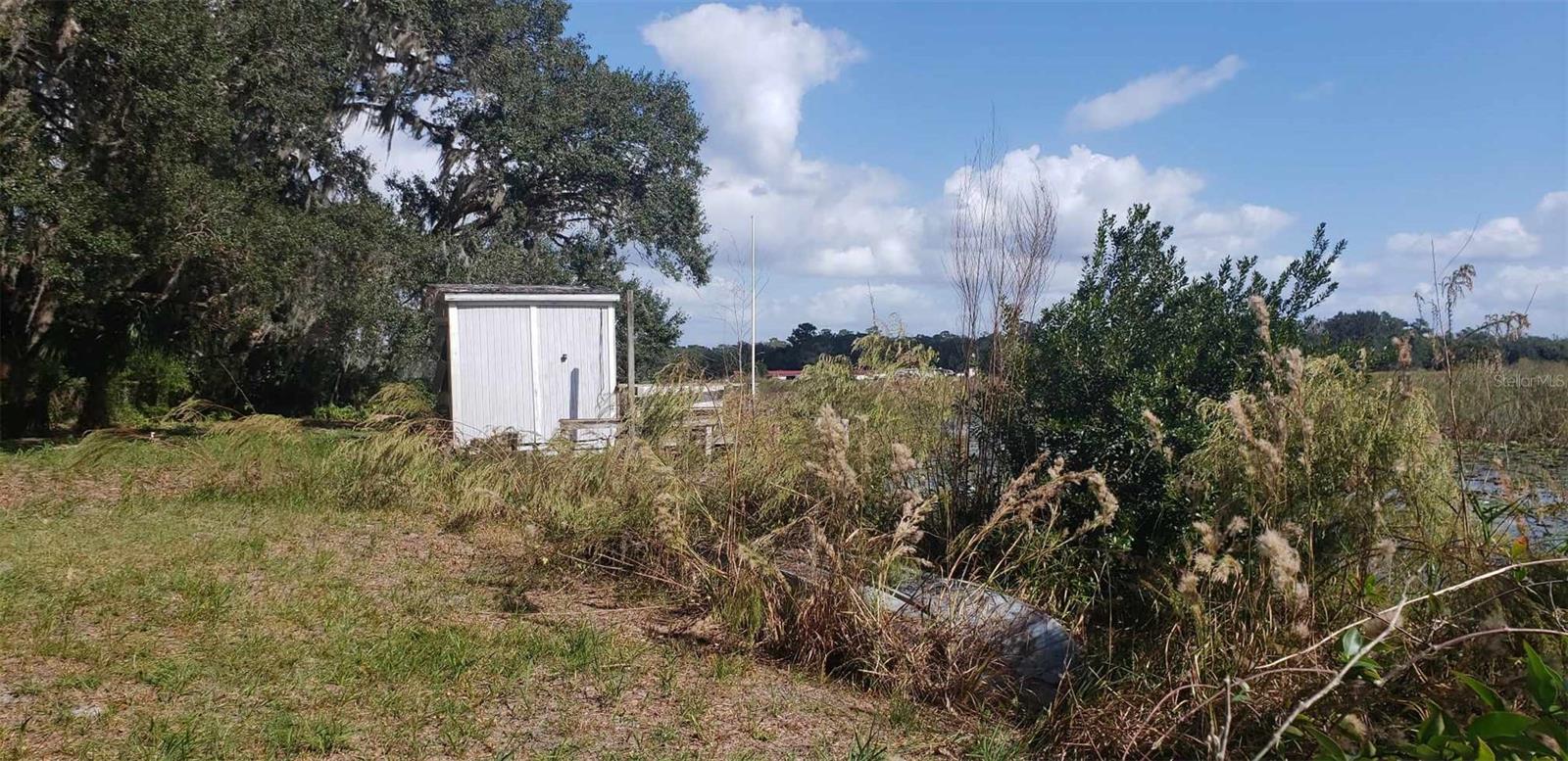 24971 NE 135TH ST, SALT SPRINGS, FL, 32134
