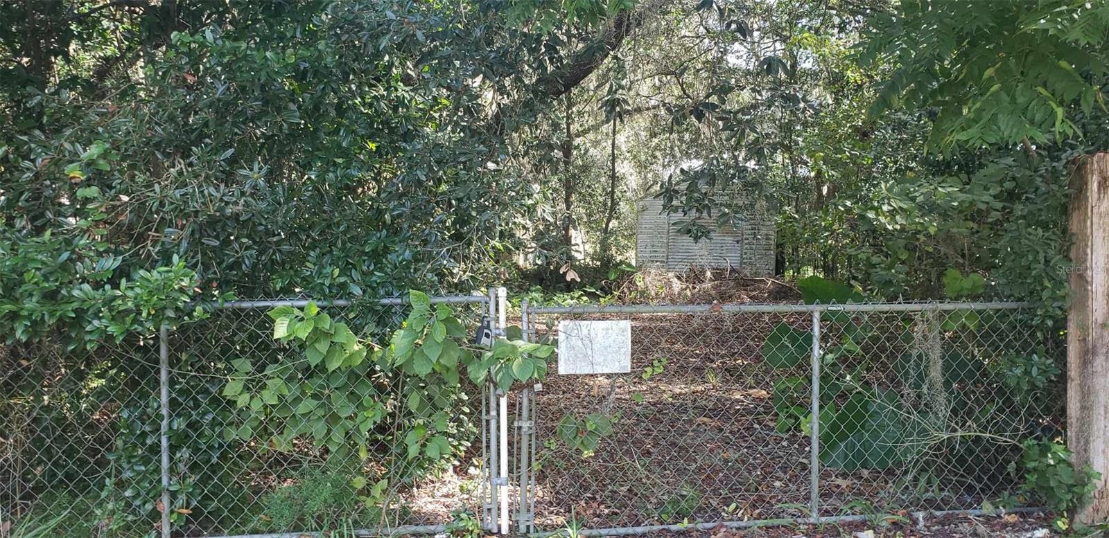 24971 NE 135TH ST, SALT SPRINGS, FL, 32134