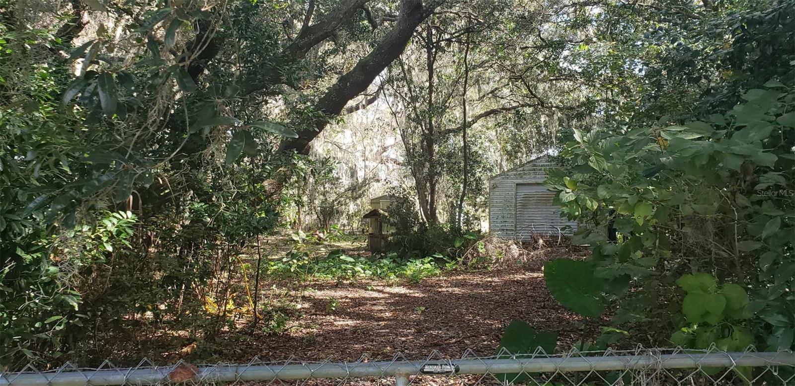 24971 NE 135TH ST, SALT SPRINGS, FL, 32134