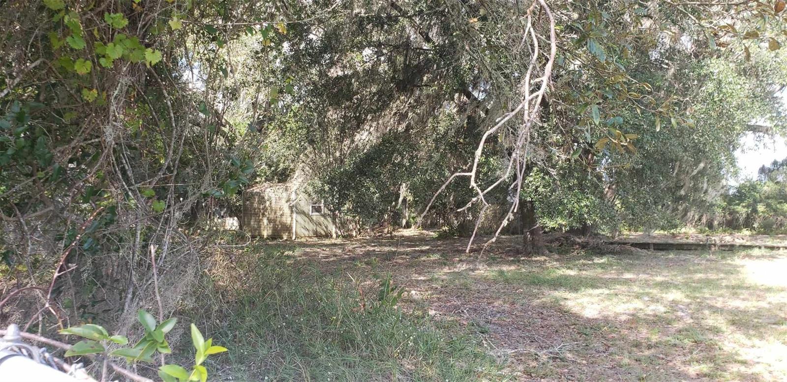 24971 NE 135TH ST, SALT SPRINGS, FL, 32134
