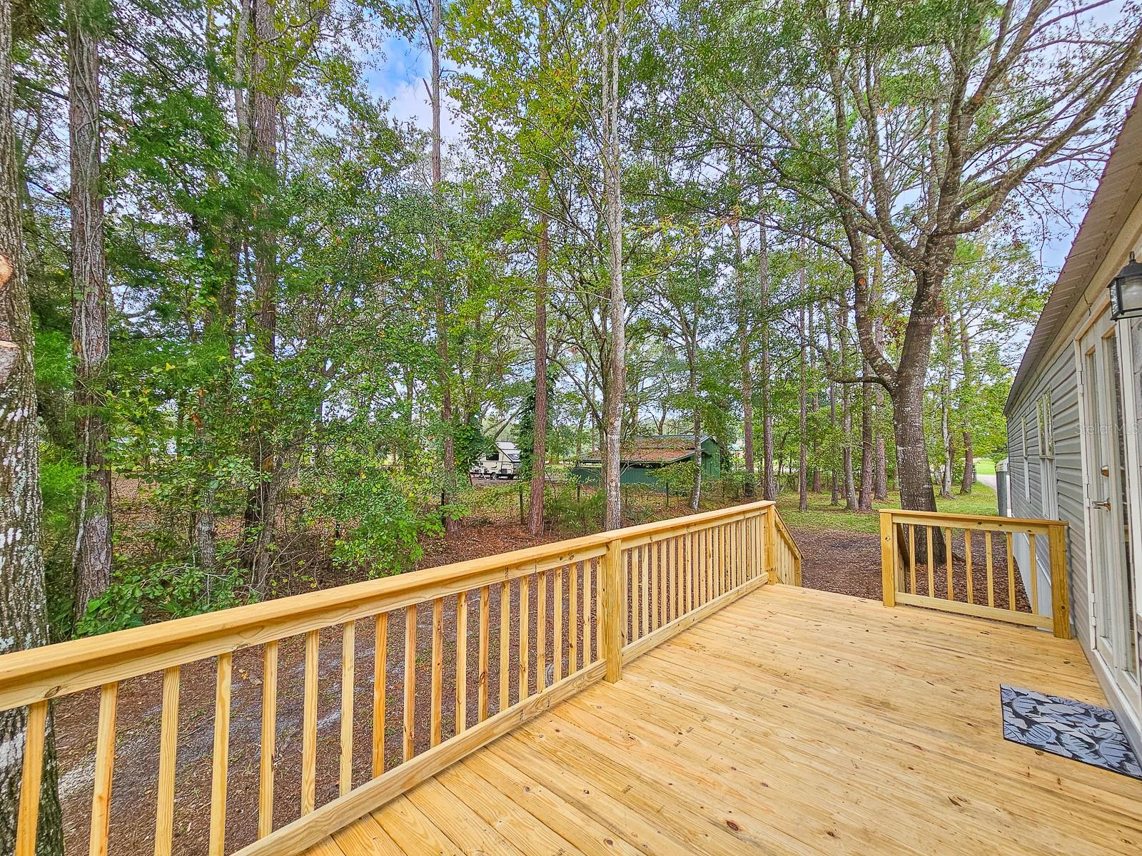 6559 BASSWOOD AVE, BUNNELL, FL, 32110