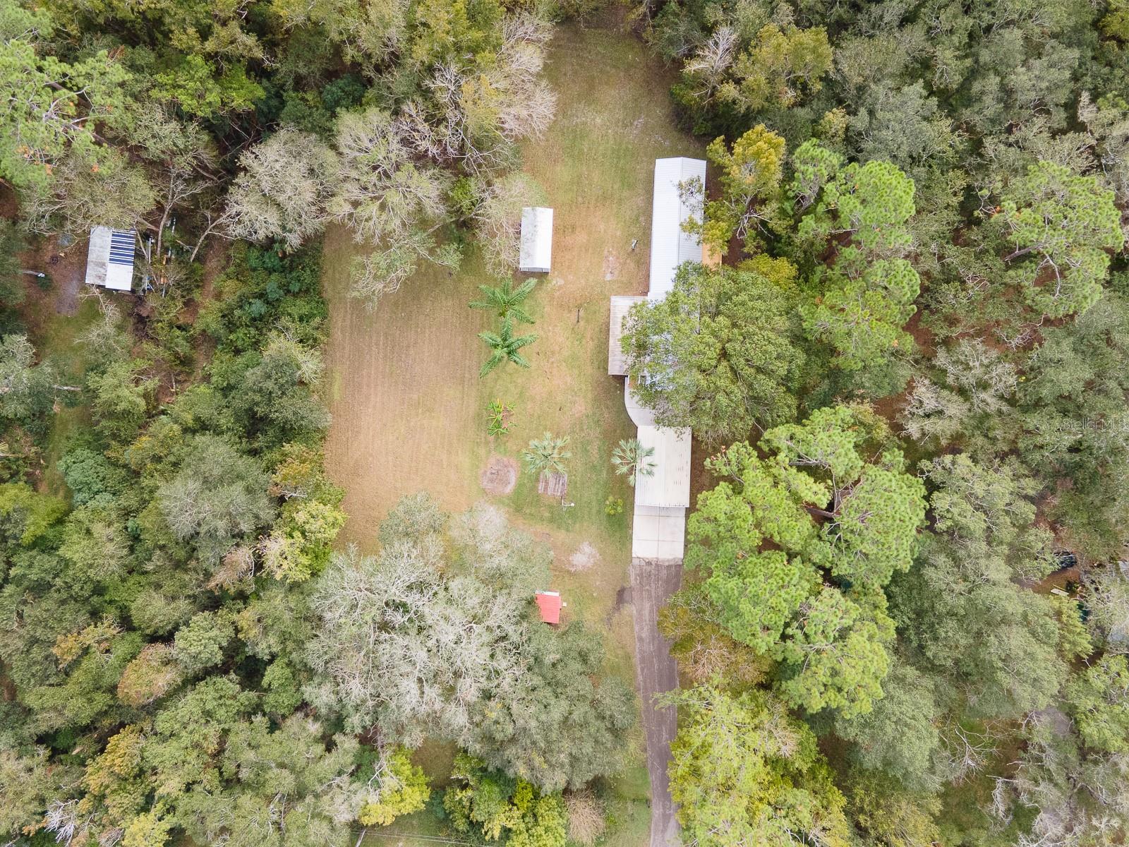6559 BASSWOOD AVE, BUNNELL, FL, 32110