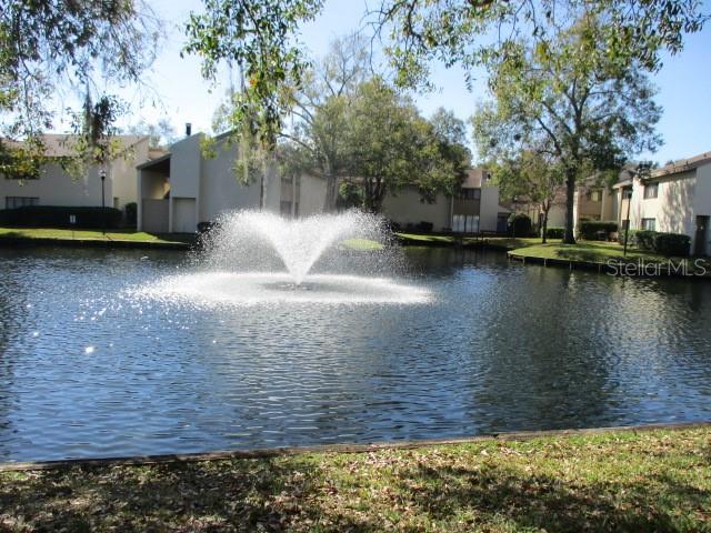 4108 PINELAKE LN #102, TAMPA, FL, 33618
